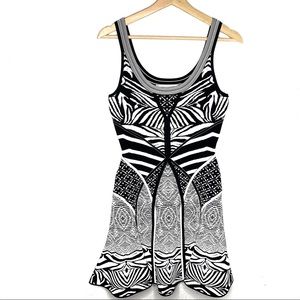 Diane von furstenberg fanny dress zebra print